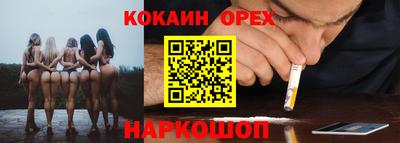 стаф Гусев