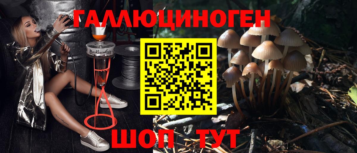 Галлюциногенные грибы MAGIC MUSHROOMS Рязань