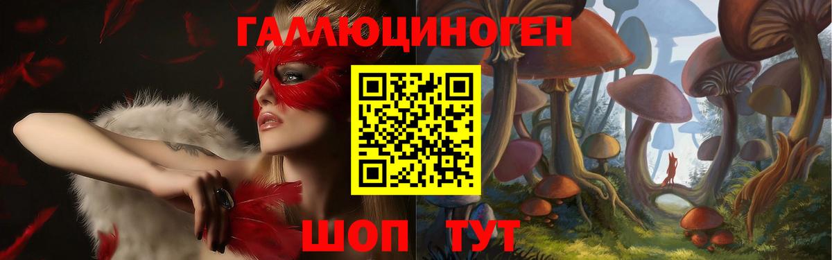Псилоцибиновые грибы мицелий  Вход с VPN  Галлюциногенные грибы Psilocybe  Рязань 